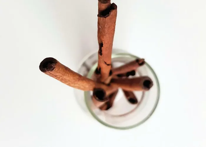 Apartamento Chilliapartamenty - Blizej Morza - Cynamon