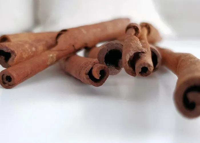 Chilliapartamenty - Bliżej Morza - Cynamon * Kołobrzeg